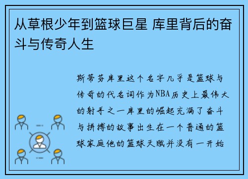 从草根少年到篮球巨星 库里背后的奋斗与传奇人生 从草根少年到篮球巨星 库里背后的奋斗与传奇人生